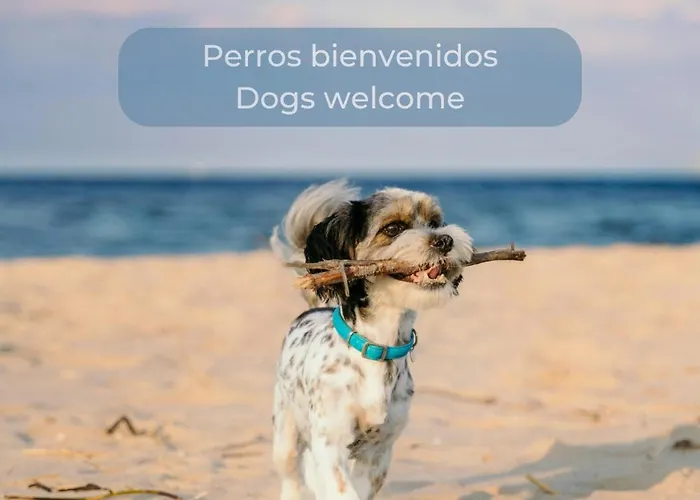 Sol En El Centro Del Cotillo, 1 Minuto De La Playa, 2 Habitaciones, Terraza Y Wifi Апартаменты *