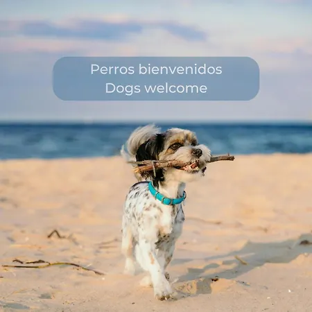 Sol En El Centro Del Cotillo, 1 Minuto De La Playa, 2 Habitaciones, Terraza Y Wifi Appartement *